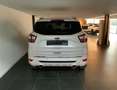 Ford Kuga 2.0 TDCI 150 CV Start&Stop Powershift 4WD Vignale Bianco - thumbnail 2