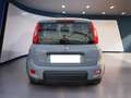 Fiat Panda III 2021 1.0 firefly hybrid City Life s&s 70cv - thumbnail 5