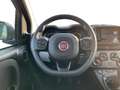 Fiat Panda III 2021 1.0 firefly hybrid City Life s&s 70cv - thumbnail 11