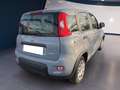 Fiat Panda III 2021 1.0 firefly hybrid City Life s&s 70cv - thumbnail 4