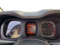 Fiat Panda III 2021 1.0 firefly hybrid City Life s&s 70cv - thumbnail 14