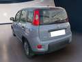 Fiat Panda III 2021 1.0 firefly hybrid City Life s&s 70cv - thumbnail 6