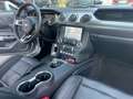 Ford Mustang GT 5.0 V8 450CV 55 YEARS DISTRONIC CAMERA CARPLAY Grijs - thumbnail 10