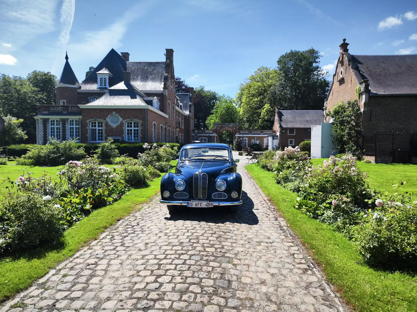 BMW 502 'BarockAngel' Blue - 2