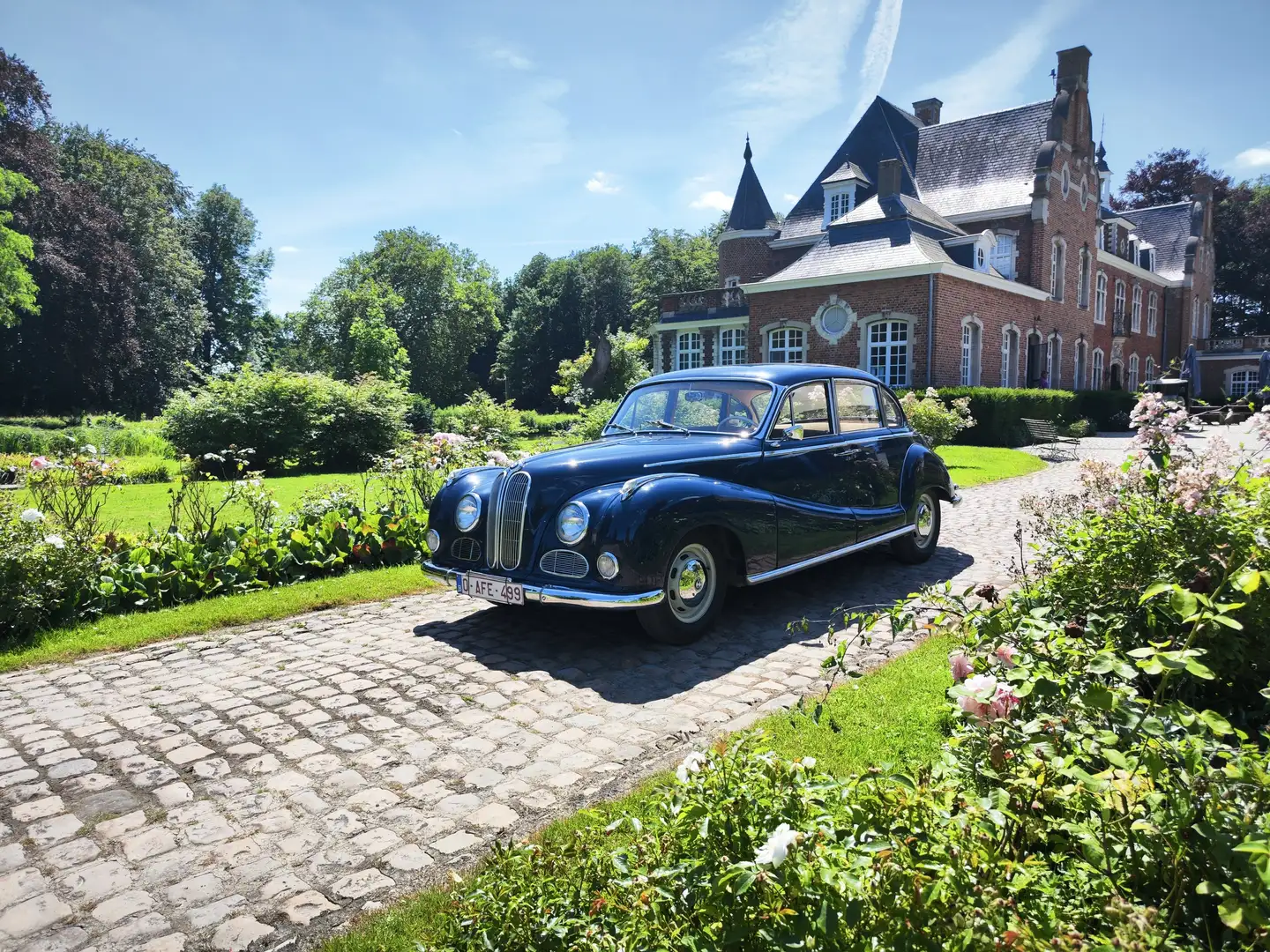 BMW 502 'BarockAngel' Blue - 1