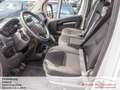 Fiat Ducato E- Ducato 47 kWh L5H2 *Schnelladeanschluß* Weiß - thumbnail 12