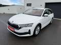 Skoda Octavia Combi 2.0 TDI/AHK/ACC/Kamera/Virtual Weiß - thumbnail 1