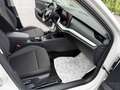 Skoda Octavia Combi 2.0 TDI/AHK/ACC/Kamera/Virtual Weiß - thumbnail 20