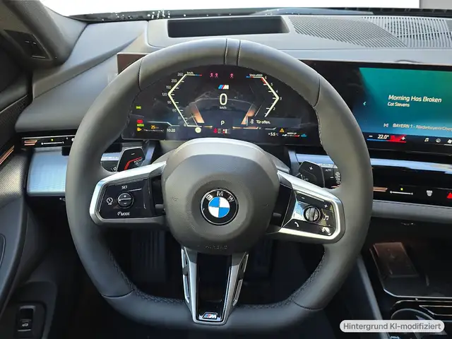 BMW 5 Series view 9