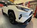 Toyota RAV 4 HYBRID Blanc - thumbnail 4