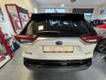 Toyota RAV 4 HYBRID Blanc - thumbnail 10