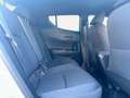 Toyota C-HR 5P Advance 180H e-CVT Gris - thumbnail 7
