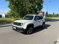 Jeep Renegade 2.0 Mjt 4WD Active Drive Wit - thumbnail 15