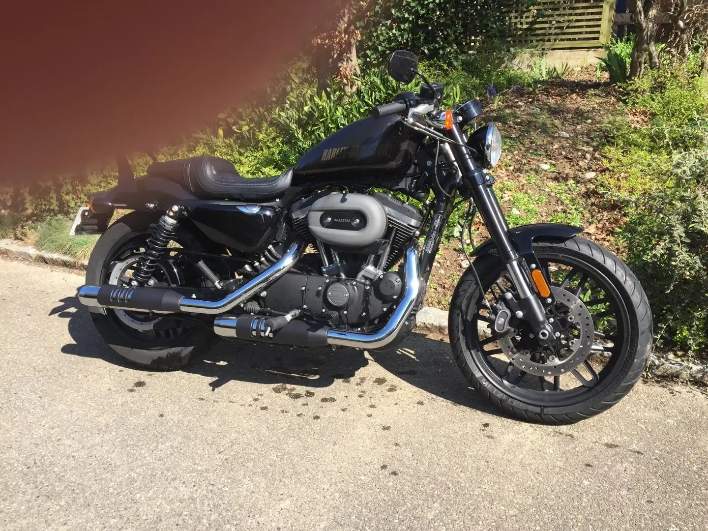 Harley-Davidson Sportster 1200 Barna - 2