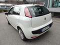 Fiat Punto Evo 5p 1.2 Dynamic Bianco - thumbnail 5