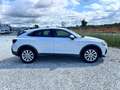 Audi Q3 Sportback 35 2.0 tdi Business Plus s-tronic Bianco - thumbnail 9