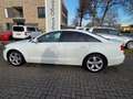 Audi A6 Lim. 2.0 TDI Blanc - thumbnail 7