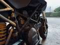 Ducati Hypermotard 796 [SC][REXXAR] Černá - thumbnail 5