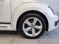 Volkswagen Beetle VW The Beetle Cabriolet Club BMT TSI Weiß - thumbnail 6