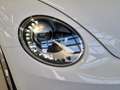 Volkswagen Beetle VW The Beetle Cabriolet Club BMT TSI Weiß - thumbnail 7