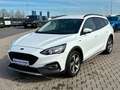 Ford Focus Turnier Active 1.0 EcoBoost Winter-Paket Weiß - thumbnail 3