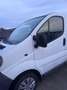 Opel Vivaro Vivaro Tour Flexx-Pack L1H1 1,9 DTI 2,7t Flexx-Pack Weiß - thumbnail 7