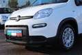 Fiat Panda 4x2 FireFly Hybrid 70 Weiß - thumbnail 3