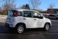 Fiat Panda 4x2 FireFly Hybrid 70 Weiß - thumbnail 6