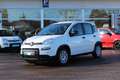 Fiat Panda 4x2 FireFly Hybrid 70 Weiß - thumbnail 1
