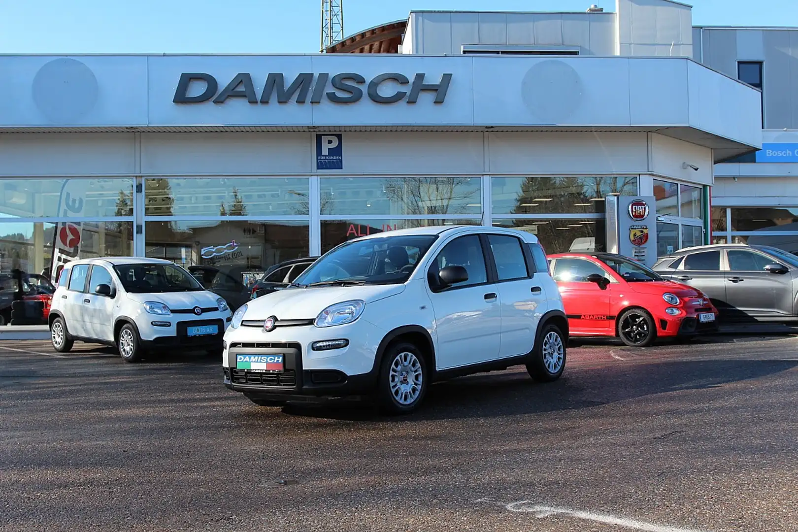 Fiat Panda 4x2 FireFly Hybrid 70 Weiß - 2