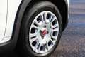 Fiat Panda 4x2 FireFly Hybrid 70 Weiß - thumbnail 9