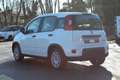 Fiat Panda 4x2 FireFly Hybrid 70 Weiß - thumbnail 8