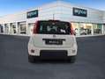 Fiat Panda City Life Hybrid 1.0 Gse 51kw (70CV) Weiß - thumbnail 5
