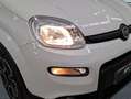 Fiat Panda City Life Hybrid 1.0 Gse 51kw (70CV) Weiß - thumbnail 20