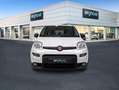 Fiat Panda City Life Hybrid 1.0 Gse 51kw (70CV) Weiß - thumbnail 2