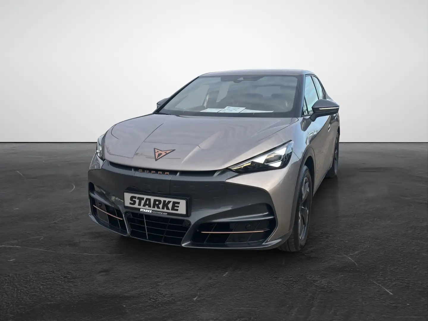 SEAT 210 kW Endurance Бежевий - 2