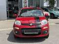 Fiat Panda 1,2 69 Lounge Rot - thumbnail 9