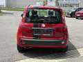Fiat Panda 1,2 69 Lounge Rot - thumbnail 4