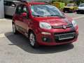 Fiat Panda 1,2 69 Lounge Rot - thumbnail 8