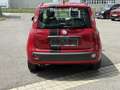 Fiat Panda 1,2 69 Lounge Rot - thumbnail 5