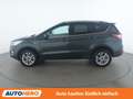 Ford Kuga 1.5 EcoBoost Titanium Grün - thumbnail 3