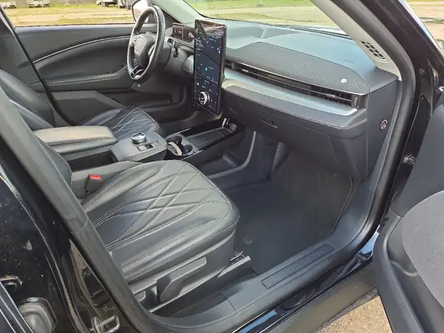 Ford Mustang Mach-E view 12