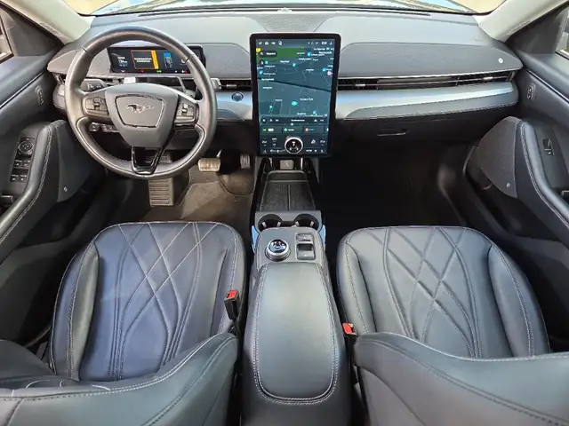 Ford Mustang Mach-E view 7
