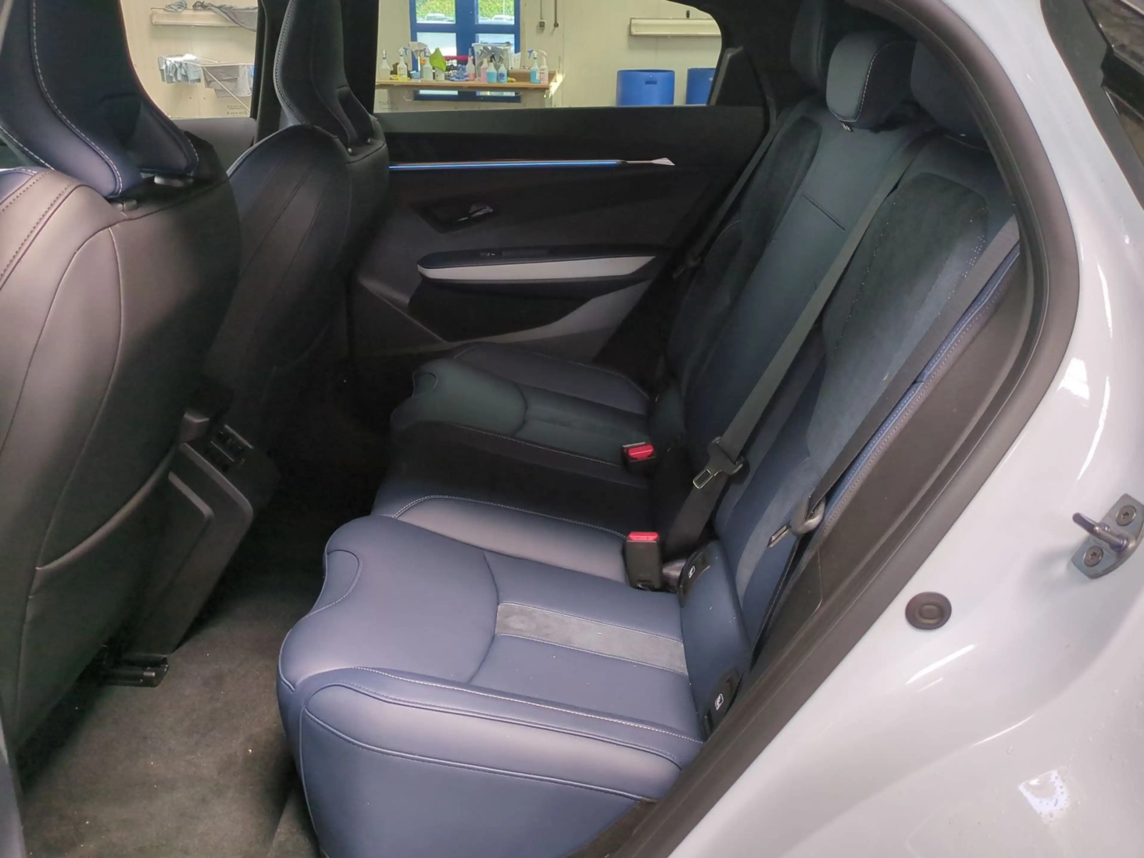 Alpine A390 GT Driving Pack 21'' — photo 13