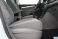 SEAT Alhambra Business TDI Weiß - thumbnail 12