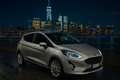 Ford Fiesta Fiesta VII 1.0 ecoboost hybrid 125cv TITANIUM Argento - thumbnail 1