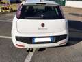 Fiat Punto Evo 3p 1.3 mjt Active s&s 75cv Bianco - thumbnail 2