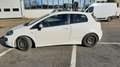 Fiat Punto Evo 3p 1.3 mjt Active s&s 75cv Bianco - thumbnail 8