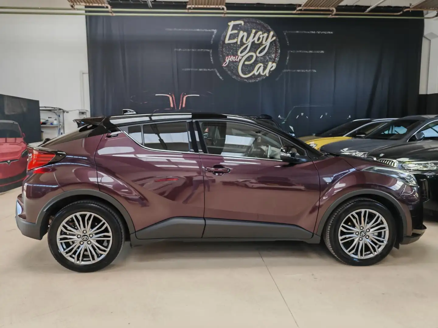 Toyota C-HR 2.0h Lounge e-cvt Mauve - 2