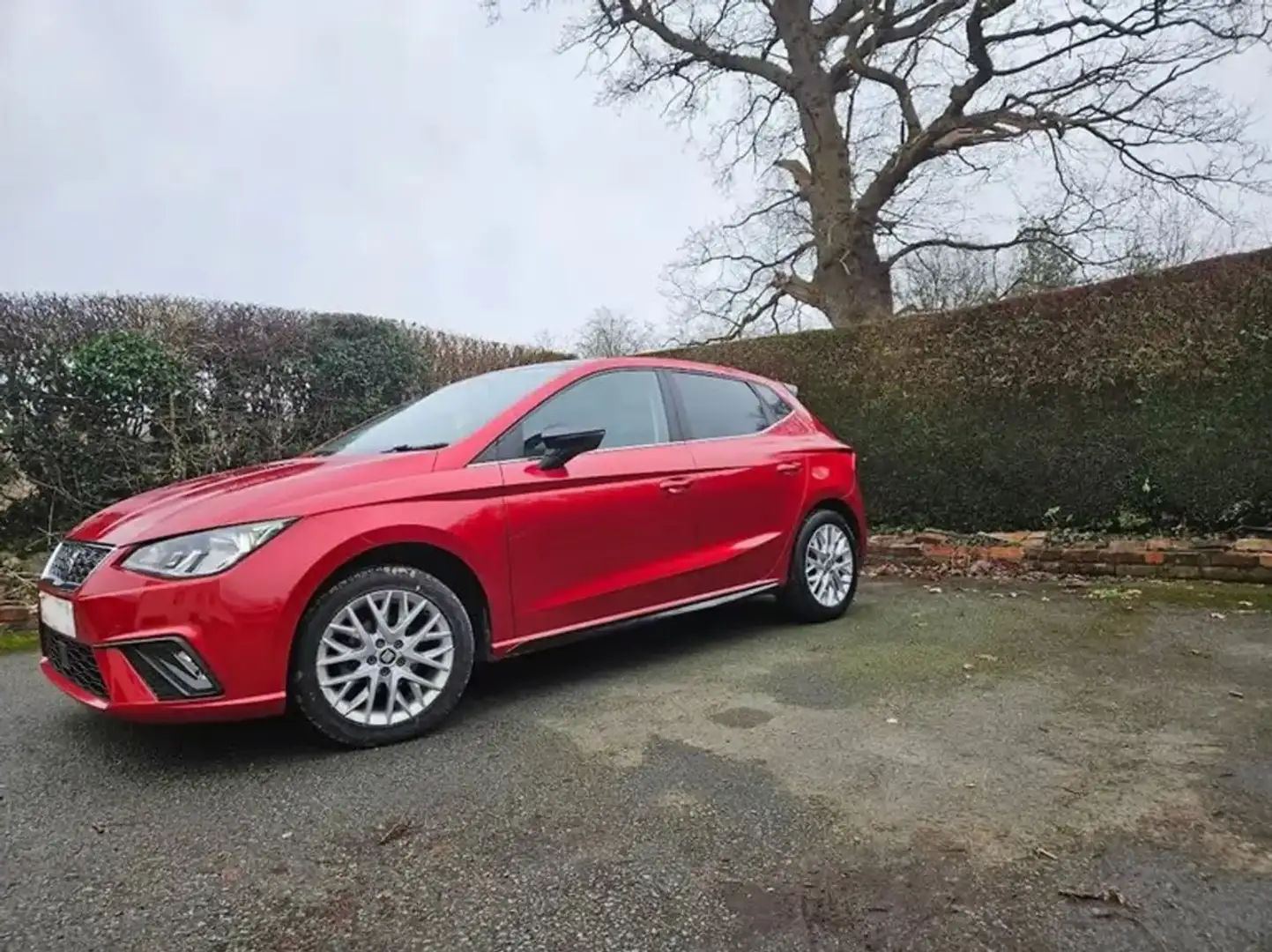 SEAT Ibiza 1.2 TSI Style Rood - 1
